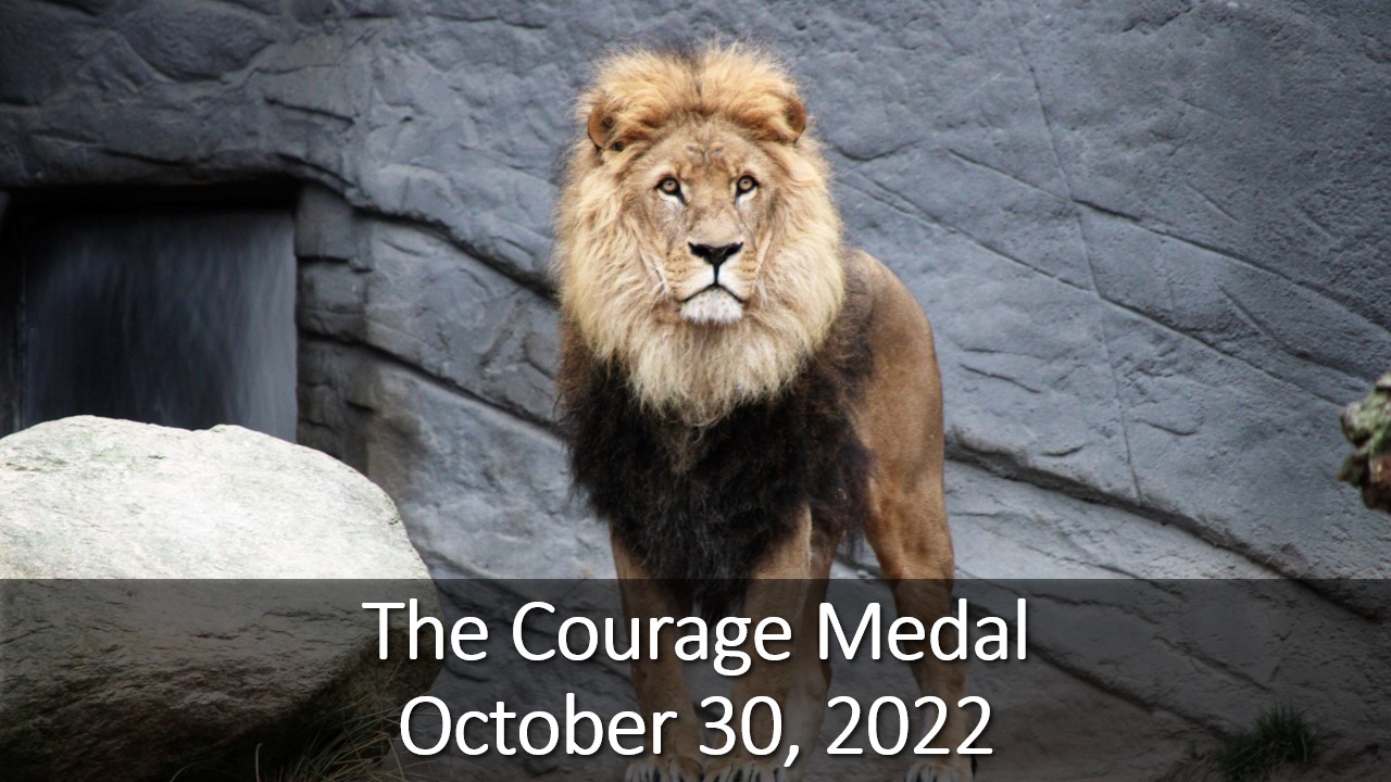 The Courage Medal - Tree of Life Unitarian Universalist Congregation